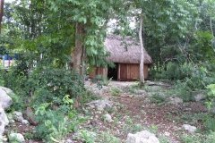 SAMSUNG DIGITAL CAMERA